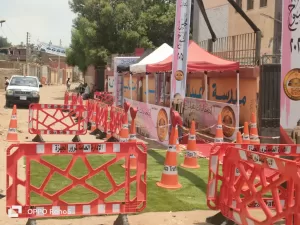 محافظ الجيزة يعلن الانتهاء من الإجراءات اللوجستية والتنظيمية لانتخابات الشيوخ 27 - جريدة المساء