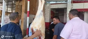 ضبـط 13 طن لحوم ودواجن فاسدة بعدة أحياء بالجيزة 45 - جريدة المساء
