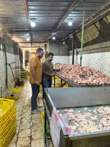 ضبـط 13 طن لحوم ودواجن فاسدة بعدة أحياء بالجيزة 23 - جريدة المساء