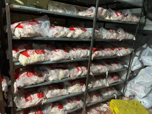 ضبـط 13 طن لحوم ودواجن فاسدة بعدة أحياء بالجيزة 25 - جريدة المساء