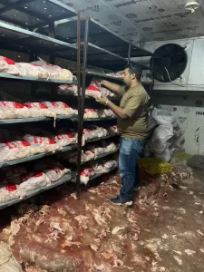 ضبـط 13 طن لحوم ودواجن فاسدة بعدة أحياء بالجيزة 27 - جريدة المساء