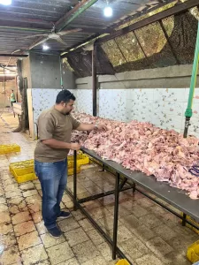 ضبـط 13 طن لحوم ودواجن فاسدة بعدة أحياء بالجيزة 35 - جريدة المساء