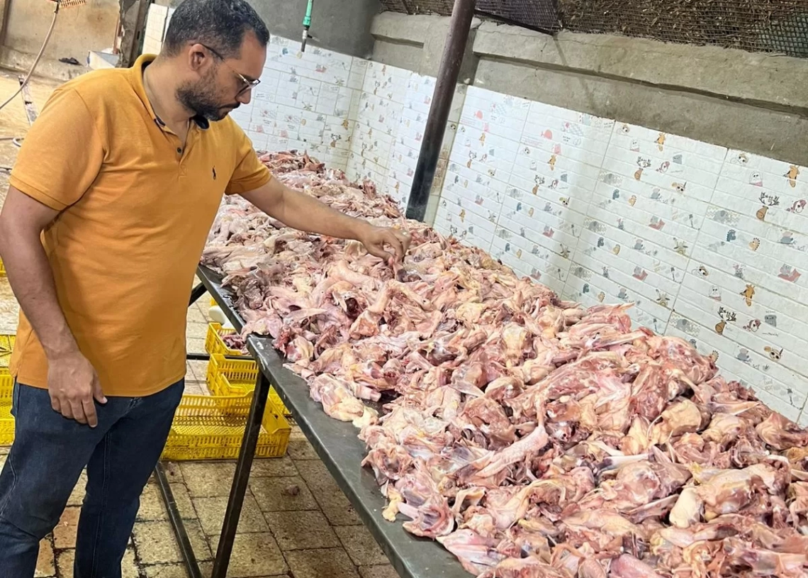 ضبـط 13 طن لحوم ودواجن فاسدة بعدة أحياء بالجيزة 17 - جريدة المساء