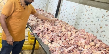 ضبـط 13 طن لحوم ودواجن فاسدة بعدة أحياء بالجيزة 1 - جريدة المساء