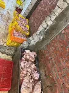 ضبـط 13 طن لحوم ودواجن فاسدة بعدة أحياء بالجيزة 37 - جريدة المساء