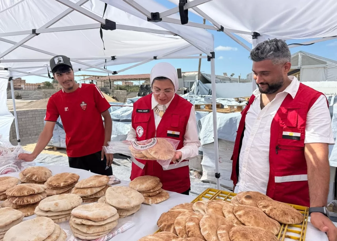 د. آمال إمام، المديرة التنفيذية للهلال الأحمر المصرى