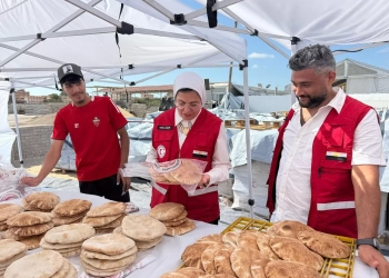 د. آمال إمام، المديرة التنفيذية للهلال الأحمر المصرى