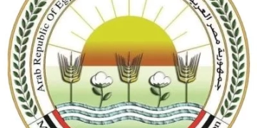 الزراعة: نفوق الأسماك في مزارع بحيرة المنزلة ظاهرة طبيعية 1 - جريدة المساء