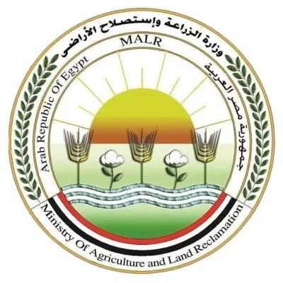 الزراعة: نفوق الأسماك في مزارع بحيرة المنزلة ظاهرة طبيعية 17 - جريدة المساء