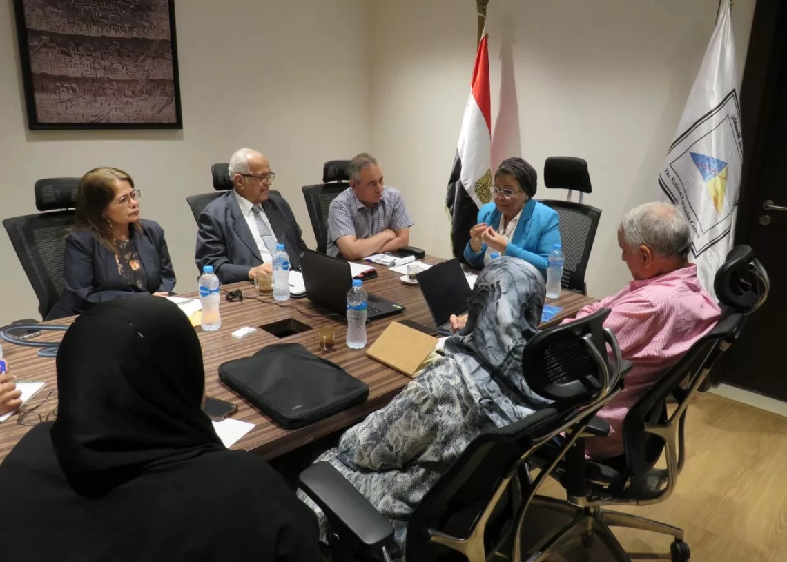 نائب وزير الصحة تتابع الاستراتيجية الوطنية للسكان وتبحث آليات المرحلة الثانية 18 - جريدة المساء