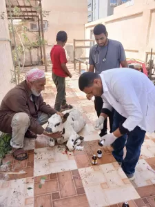 جامعة مطروح تنظم قافلة خدمية شاملة بالتعاون مع الجامعة المصرية الصينية 23 - جريدة المساء