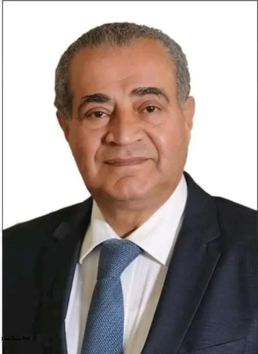 د. على المصيلحى