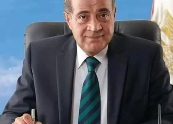 د. على المصيلحى