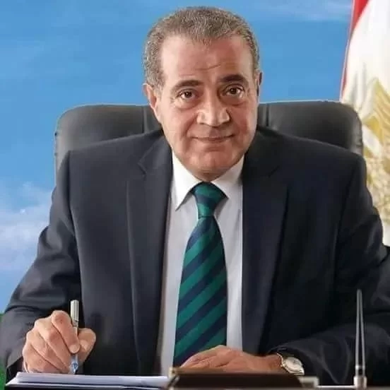 د. على المصيلحى