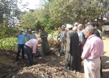 الإرشاد الزراعي: تنفيذ 12 برنامجا تدريبيا و23 ورشة عمل و83 ندوة خلال يوليو 19 - جريدة المساء