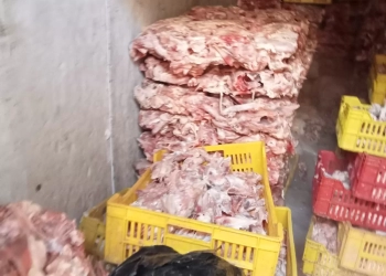 ضبط 10 أطنان هياكل دواجن فاسدة بكرداسة 20 - جريدة المساء