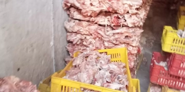 ضبط 10 أطنان هياكل دواجن فاسدة بكرداسة 2 - جريدة المساء ضبط 10 أطنان هياكل دواجن فاسدة بكرداسة 1 - جريدة المساء