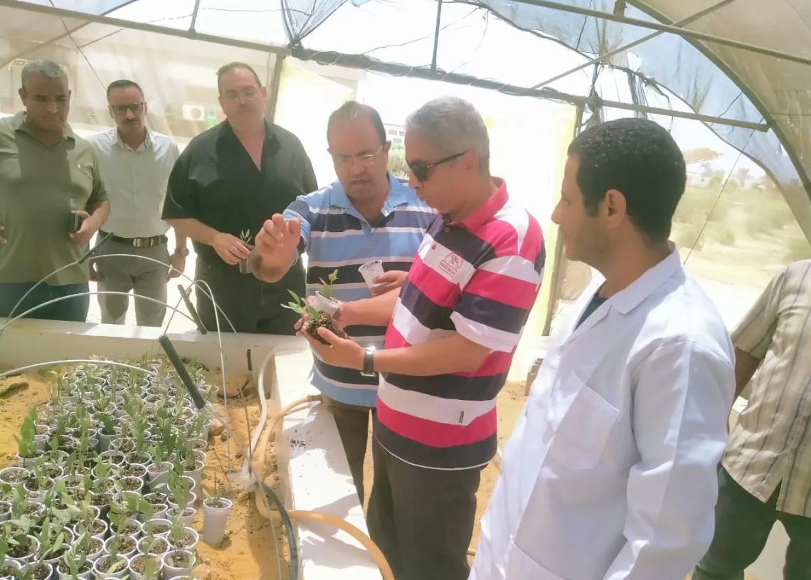 بحوث الصحراء: نجاح تجارب توفير أعلاف بديلة من المخلفات الزراعية بجنوب سيناء 18 - جريدة المساء بحوث الصحراء: نجاح تجارب توفير أعلاف بديلة من المخلفات الزراعية بجنوب سيناء 17 - جريدة المساء