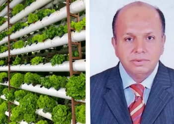 د.خالد سالم : التجربة اليابانية..نموذج يُحتذى في الزراعة الذكية 19 - جريدة المساء