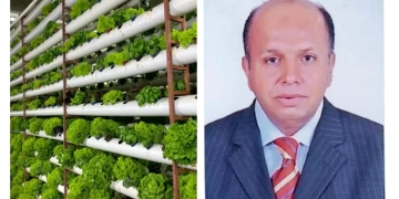 د.خالد سالم : التجربة اليابانية..نموذج يُحتذى في الزراعة الذكية 1 - جريدة المساء