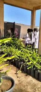 تعزيز المهارات الزراعية دورة تدريبية لطلاب كلية الزراعة في مركز البحوث التطبيقية بمطروح 26 - جريدة المساء تعزيز المهارات الزراعية دورة تدريبية لطلاب كلية الزراعة في مركز البحوث التطبيقية بمطروح 25 - جريدة المساء