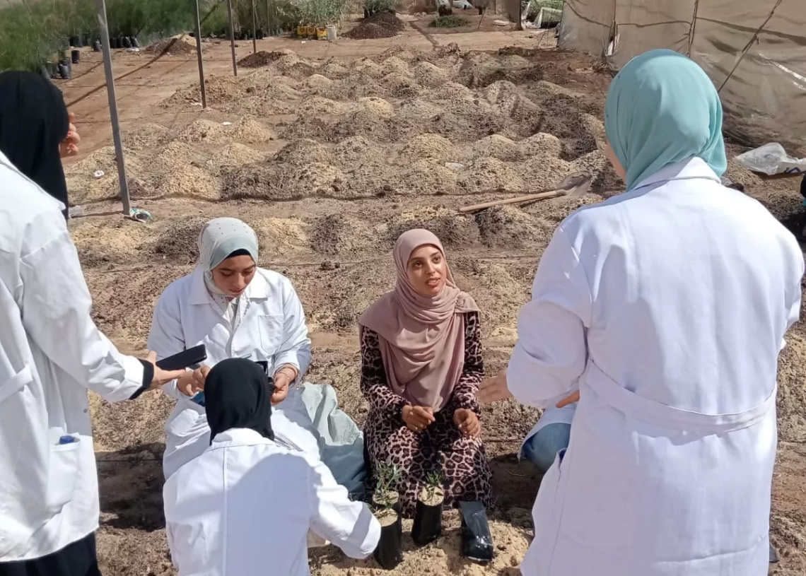 تعزيز المهارات الزراعية دورة تدريبية لطلاب كلية الزراعة في مركز البحوث التطبيقية بمطروح 20 - جريدة المساء تعزيز المهارات الزراعية دورة تدريبية لطلاب كلية الزراعة في مركز البحوث التطبيقية بمطروح 19 - جريدة المساء