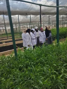 تعزيز المهارات الزراعية دورة تدريبية لطلاب كلية الزراعة في مركز البحوث التطبيقية بمطروح 23 - جريدة المساء