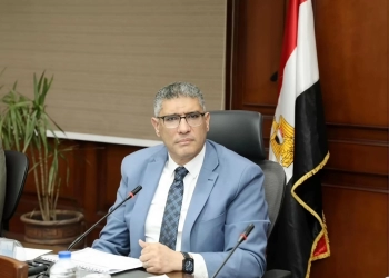 المهندس عادل النجار محافظ الجيزة