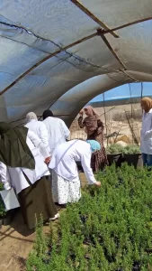 تعزيز المهارات الزراعية دورة تدريبية لطلاب كلية الزراعة في مركز البحوث التطبيقية بمطروح 21 - جريدة المساء