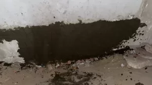 بعد واقعة "الثقب الأسود" بالهرم.. محافظة الجيزة تغلق فتحات أسفل الكباري لمنع استغلالها في أنشطة غير مشروعة 61 - جريدة المساء