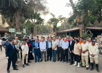 تطوير حديقتي الحيوان والأورمان وفق المعايير العالمية واستقبال 362 حيواناً جديداً 16 - جريدة المساء