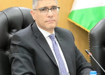 م.عادل النجار محافظ الجيزة