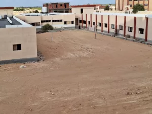 المدارس خلايا نحل استعدادا لانطلاق العام الدراسي الجديد 25 - جريدة المساء