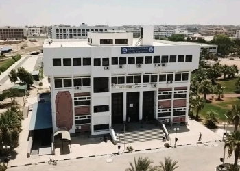 اعتماد نتيجة بكالوريوس تجارة القناة بنسبة نجاح 86.7% 17 - جريدة المساء