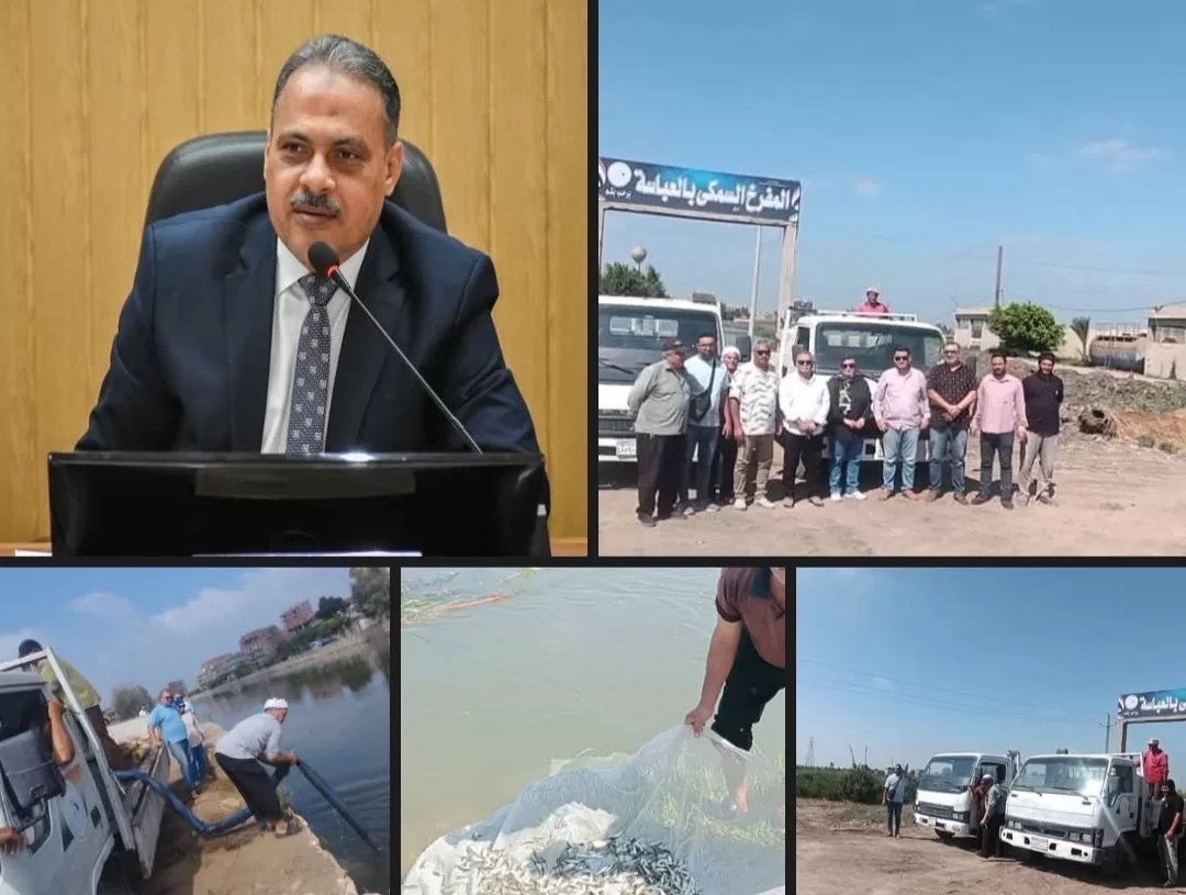 استكمالاً لتنمية المسطحات المائية بالشرقية..إنزال 800 ألف زريعة من أسماك البلطي والمبروك 27 - جريدة المساء