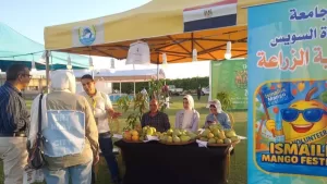 زراعة القناة شاركت في مهرجان المانجو بالإسماعيلية 23 - جريدة المساء