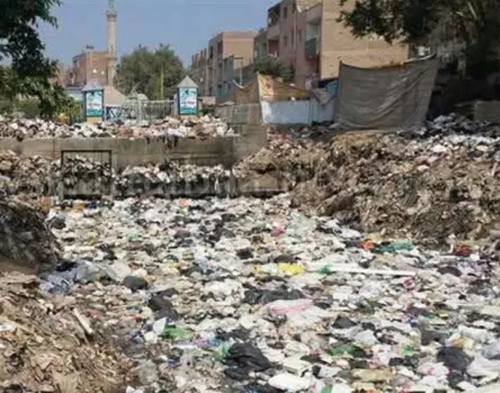 رشاح قلج القليوبية ٠ ٠ كارثة بيئية ! ! 17 - جريدة المساء