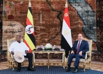 د.فرحات يثمن تصريحات الرئيس السيسي خلال لقائه مع رئيس أوغندا 29 - جريدة المساء