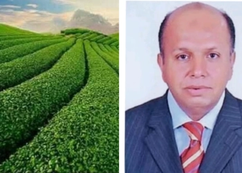 د.خالد سالم : الزراعة في الصين نموذج فريد لتحقيق الإكتفاء الذاتي 21 - جريدة المساء