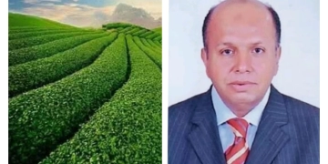 د.خالد سالم : الزراعة في الصين نموذج فريد لتحقيق الإكتفاء الذاتي 1 - جريدة المساء