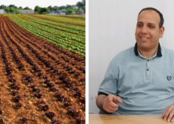 باحث: نوع التربة كلمة السر في إدارة كل نقطة مياه 19 - جريدة المساء