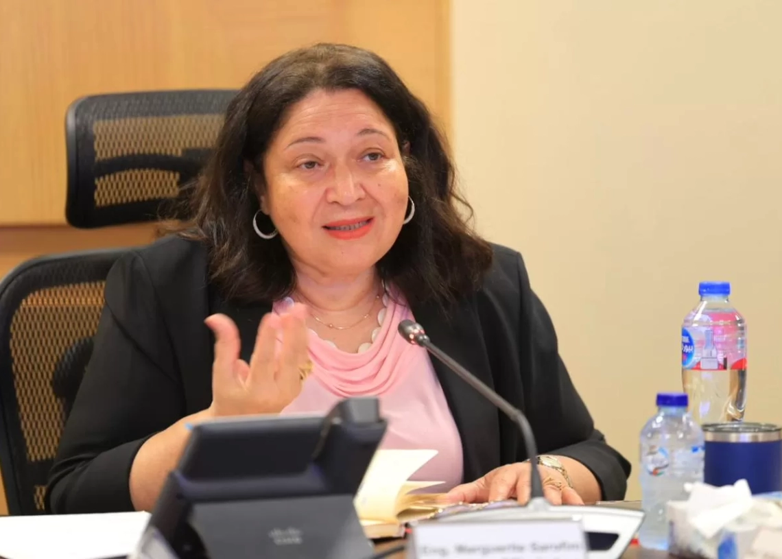 المهندسة مرجريت صاروفيم، نائبة وزيرة التضامن الاجتماعي