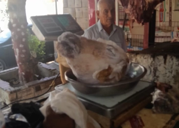 بالصور.. لحوم فاسدة داخل منفذ بيع بالشروق 17 - جريدة المساء