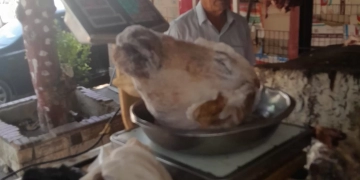 بالصور.. لحوم فاسدة داخل منفذ بيع بالشروق 1 - جريدة المساء