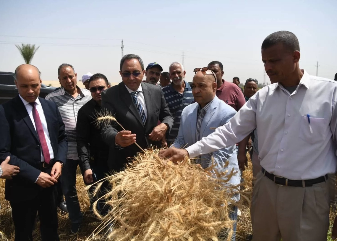 قنا تورّد 254.8 ألف طن قمح بموسم 2025 بزيادة 14 ألف طن عن العام الماضي 20 - جريدة المساء قنا تورّد 254.8 ألف طن قمح بموسم 2025 بزيادة 14 ألف طن عن العام الماضي 19 - جريدة المساء