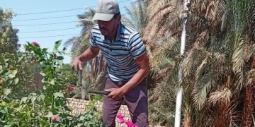 محافظة أسوان تواصل حملات رفع الإشغالات والنظافة لخلق بيئة حضارية 1 - جريدة المساء