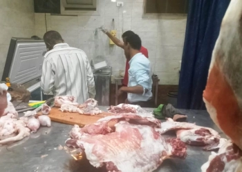 حملات بأسوان تضبط 1.3 طن أغذية فاسدة وتغلق محلات مخالفة 19 - جريدة المساء