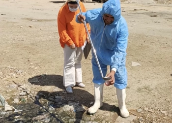 استمرار التحركات العاجلة بالشروق للقضاء على بؤر البعوض والذباب 25 - جريدة المساء