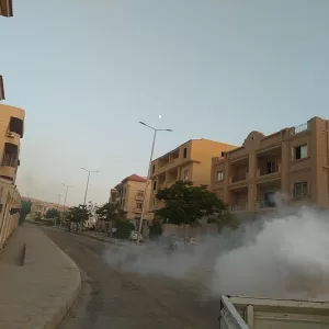 بالصور.. الشروق تواصل حملات مكافحة الحشرات ورفع النظافة 25 - جريدة المساء