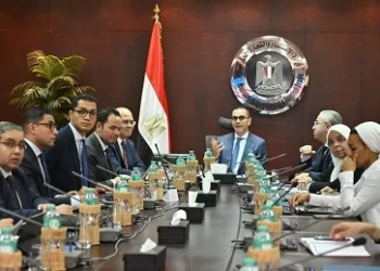 تعزيز موقع مصر، التجارة الخارجية